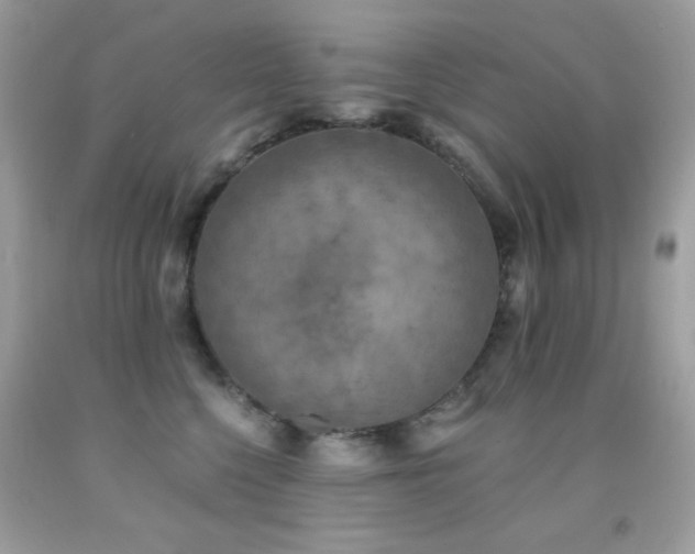 X0000091850568200709051149