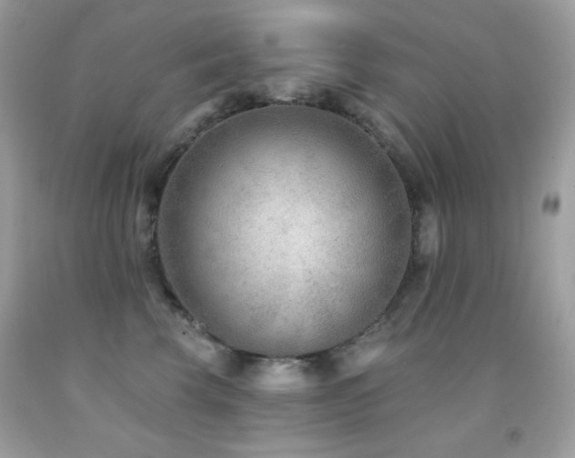 X0000091850569200709051149