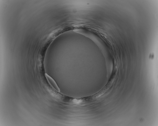 X0000091850570200709051149