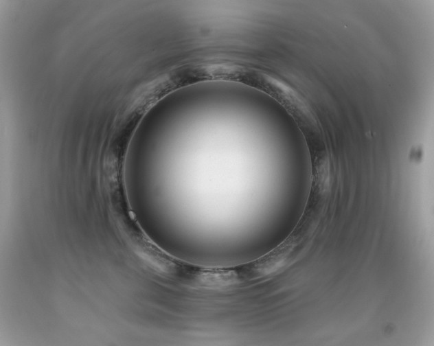 X0000091850571200709051149