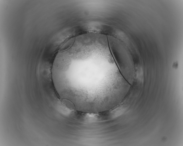 X0000091850573200709051149