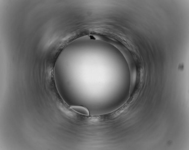 X0000091850574200709051149