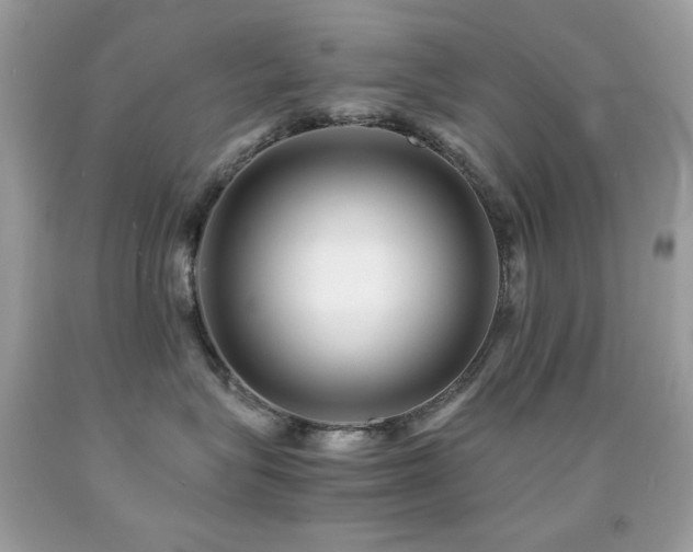 X0000091850575200709051149