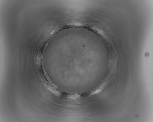 X0000091850576200709051149
