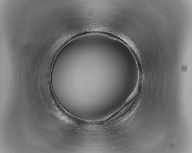 X0000091850577200709051148