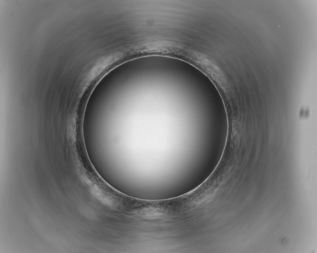 X0000091850578200709051148