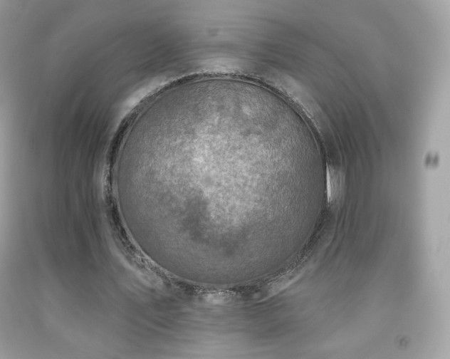 X0000091850579200709051148