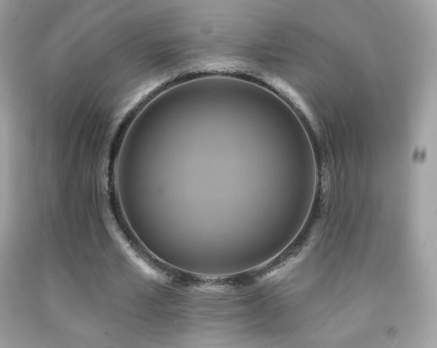 X0000091850581200709051148
