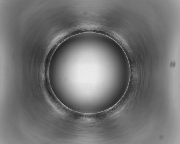X0000091850582200709051148