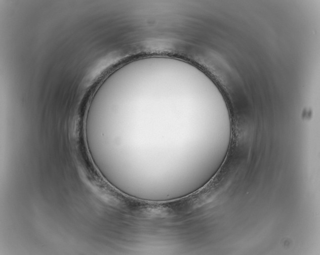 X0000091850583200709051148