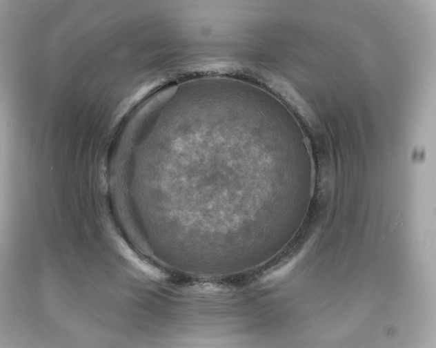 X0000091850585200709051148