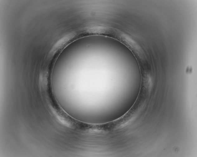 X0000091850586200709051148