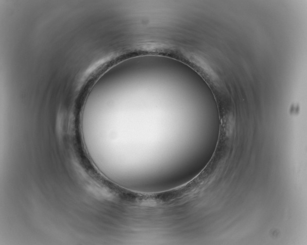 X0000091850587200709051148