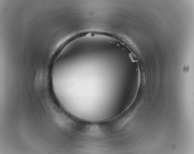 X0000091850588200709051148