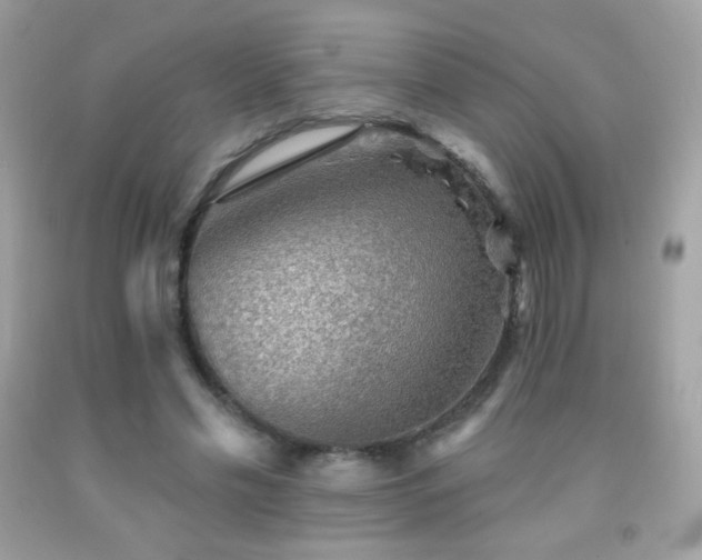 X0000091850589200709051148