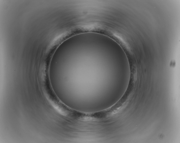 X0000091850590200709051148