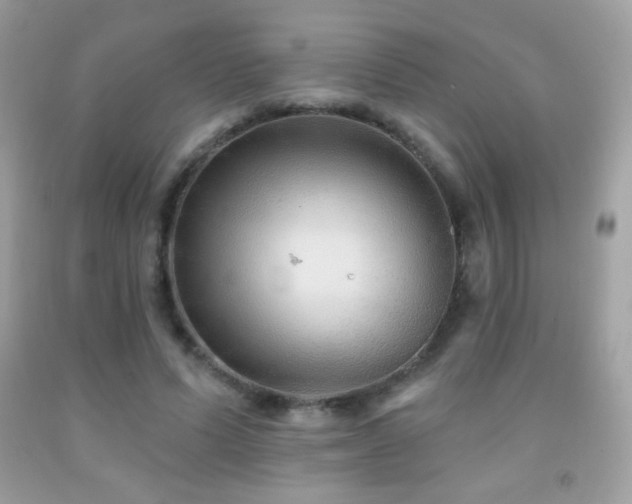 X0000091850591200709051148