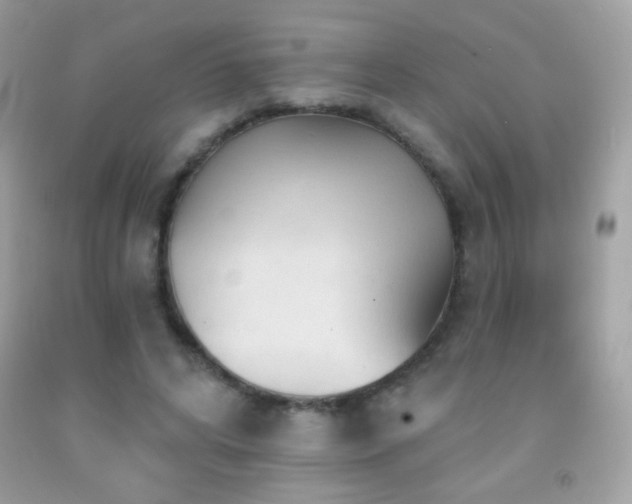 X0000091850592200709051148