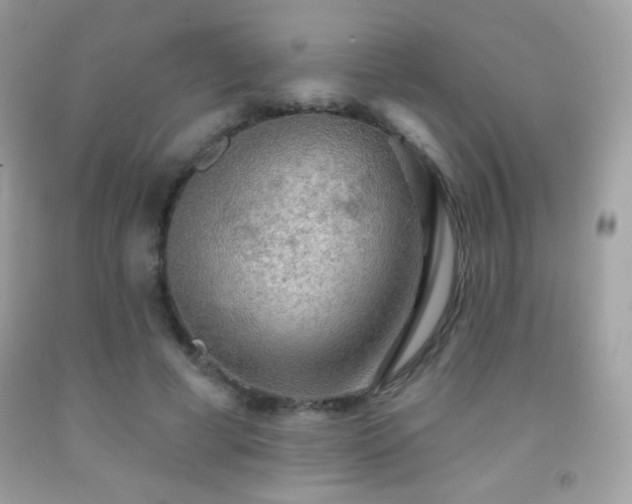 X0000091850593200709051148