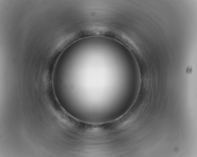 X0000091850594200709051148