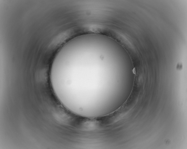 X0000091850595200709051148