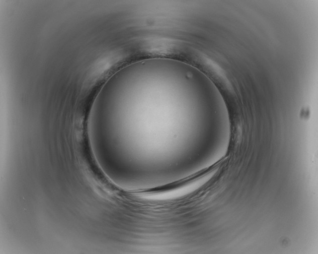 X0000091850596200709051148