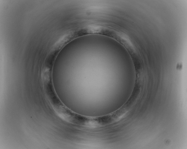 X0000091850598200709051148