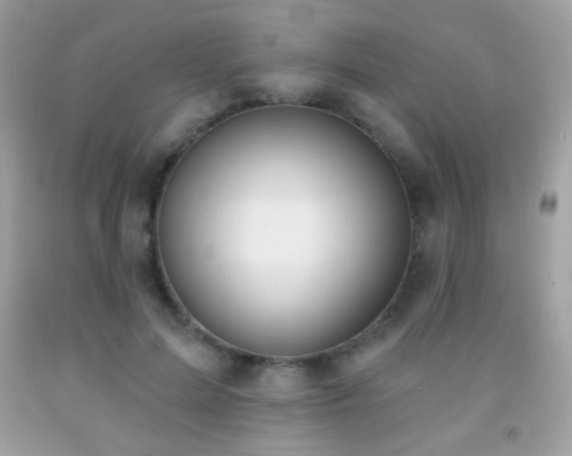 X0000091850599200709051148
