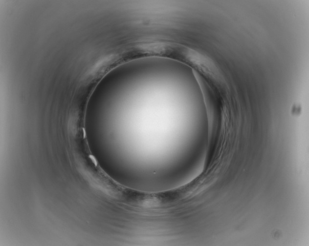 X0000091850600200709051148