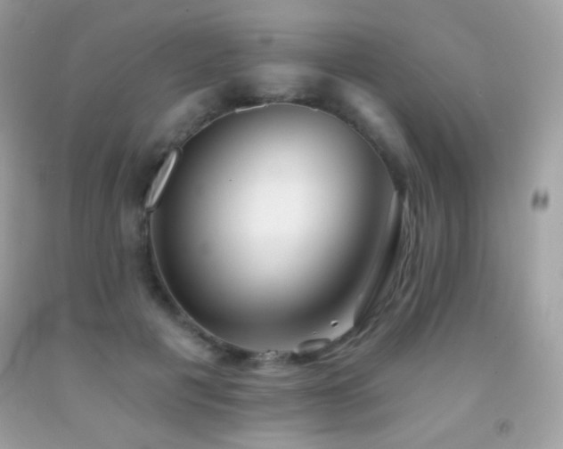 X0000091850601200709051148