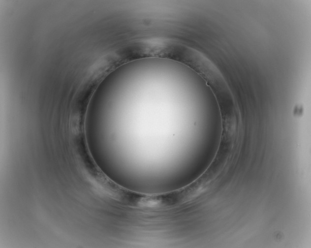 X0000091850602200709051148