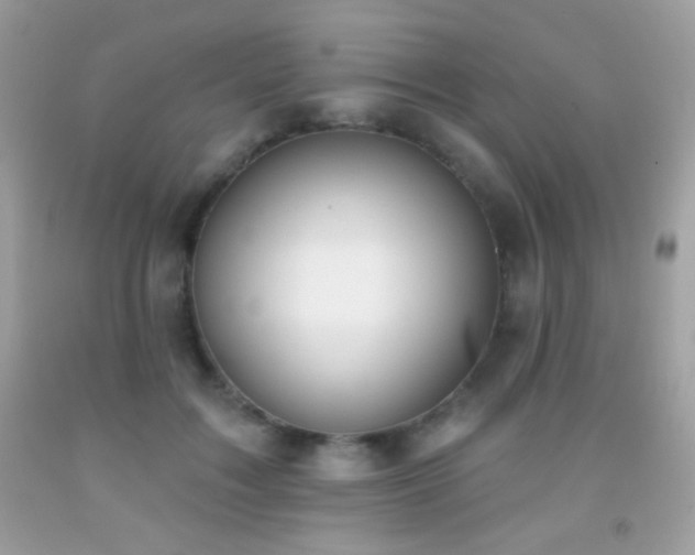 X0000091850603200709051148