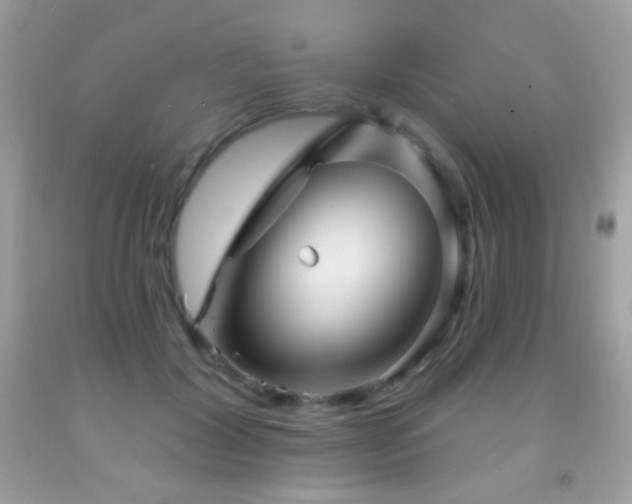 X0000091850604200709051148