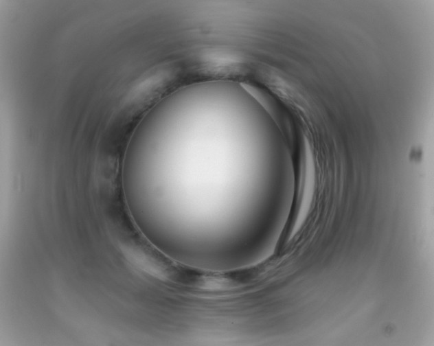 X0000091850605200709051148