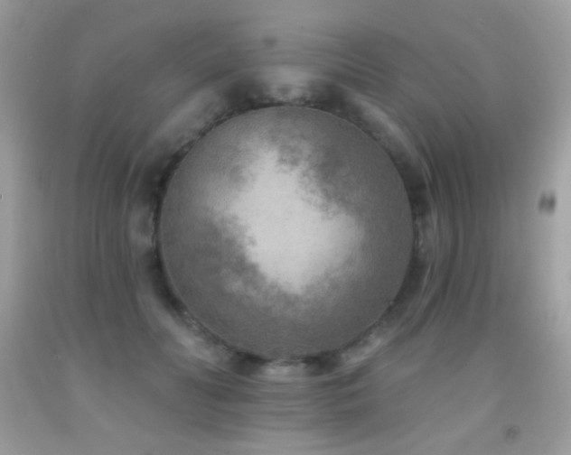 X0000091850606200709051148