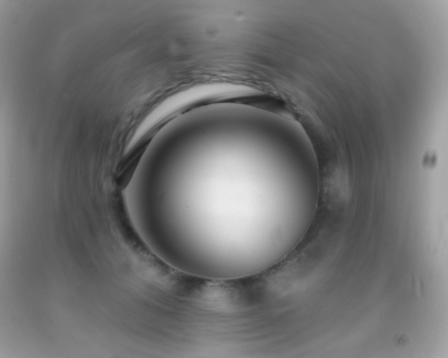 X0000091850608200709051148