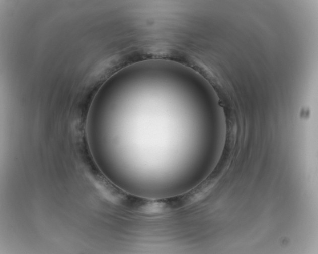 X0000091850609200709051148