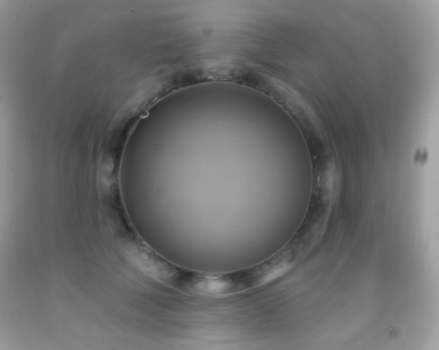 X0000091850610200709051148
