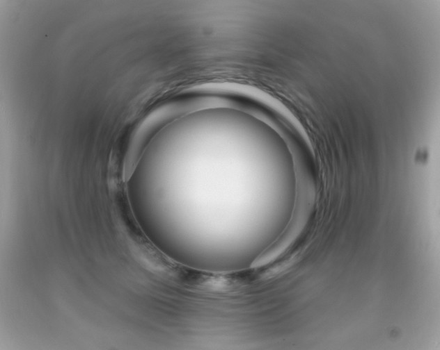 X0000091850611200709051148