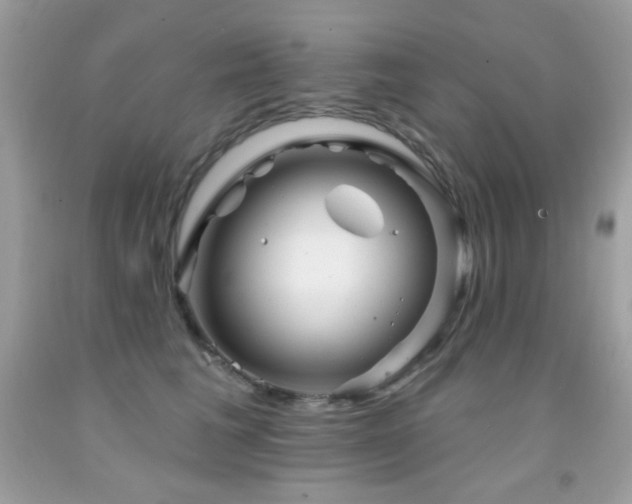 X0000091850613200709051148