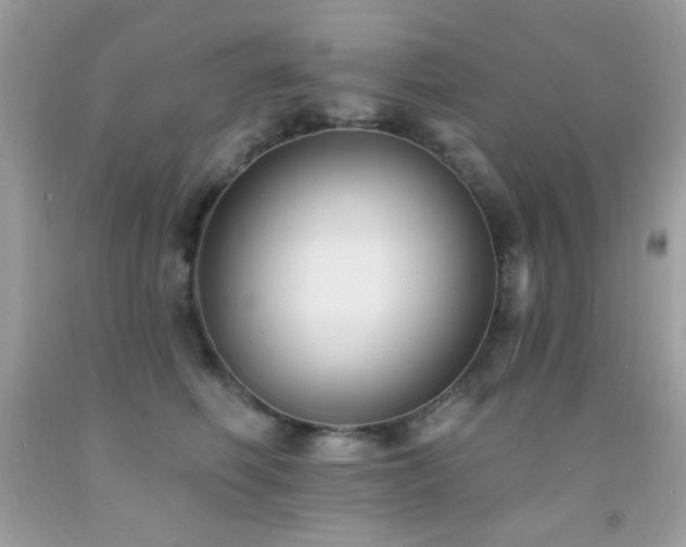 X0000091850614200709051148