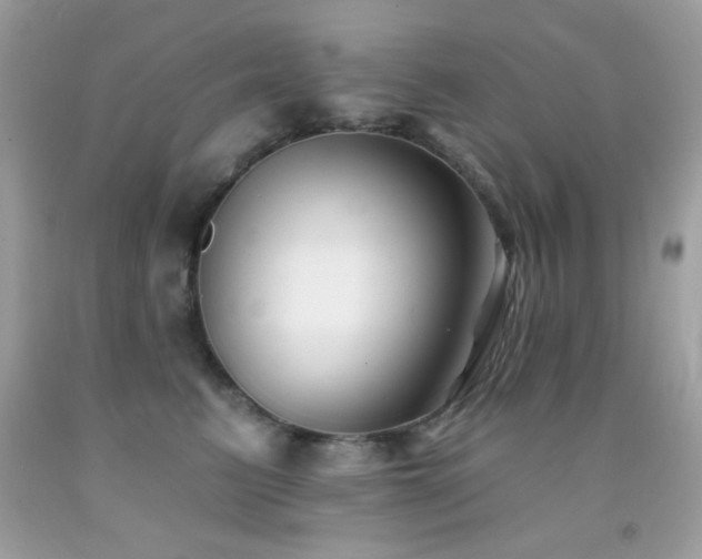 X0000091850615200709051148