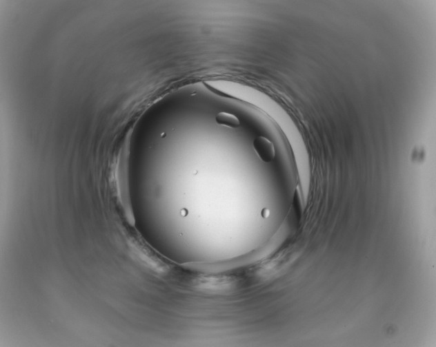 X0000091850617200709051148