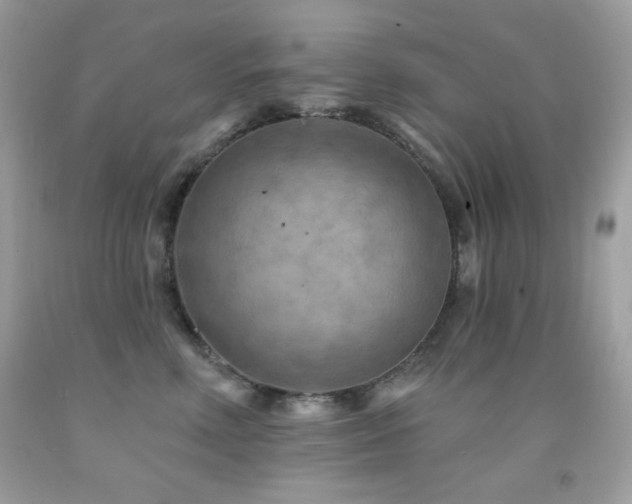 X0000091850618200709051147