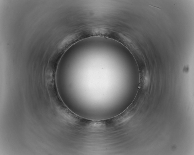 X0000091850619200709051147