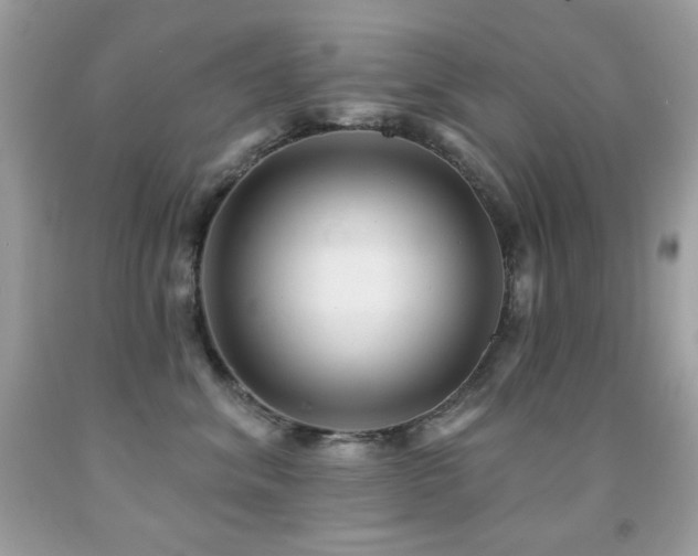 X0000091850620200709051147