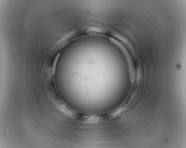X0000091850621200709051147