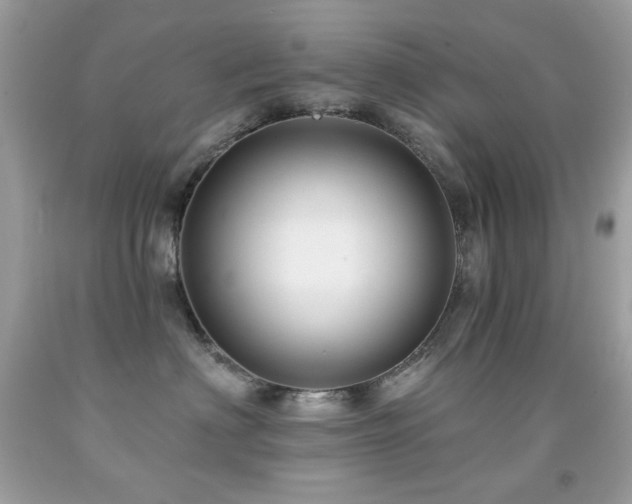 X0000091850622200709051147