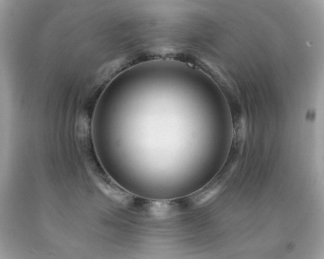 X0000091850623200709051147
