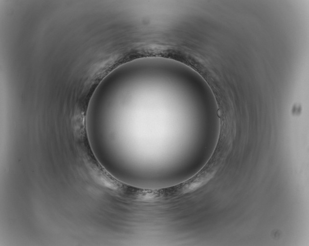 X0000091850624200709051147
